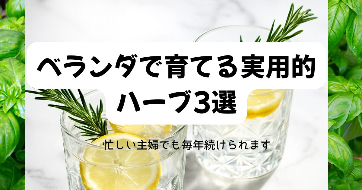 忙しい主婦でも楽しめるベランダハーブ栽培