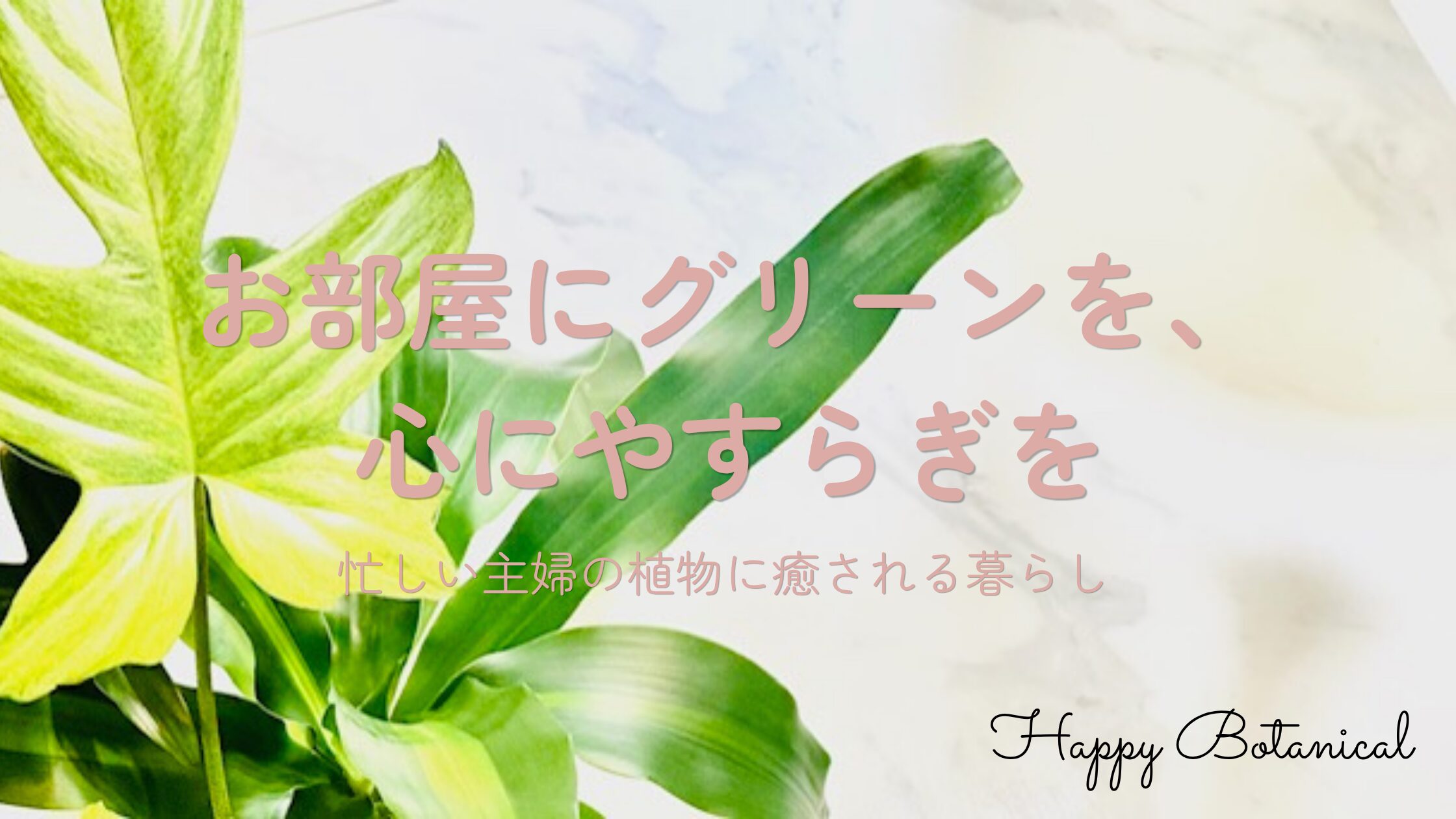 観葉植物や家庭菜園を楽しむ、忙しい主婦のための植物のある暮らしブログ